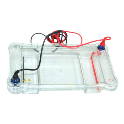 DNA-ELECTROPHORESIS-IG-DN-SERIES-1