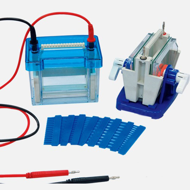 Vertical-Electrophoresis-System.