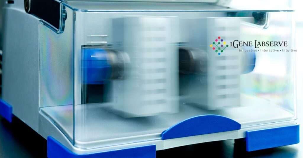 Laboratory Freeze Dryer - iGene Labserve